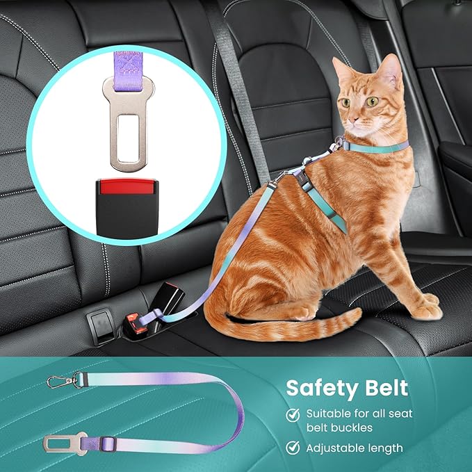 Cat Harness and Leash Set, Collars,Car Seat Belt [4 in 1 Detachable & Adjustable] Escape Proof Cat Harness, Comfortable Soft Lightweight, Walking Travel Kitten Harness for Small Medium Large Cats (M)