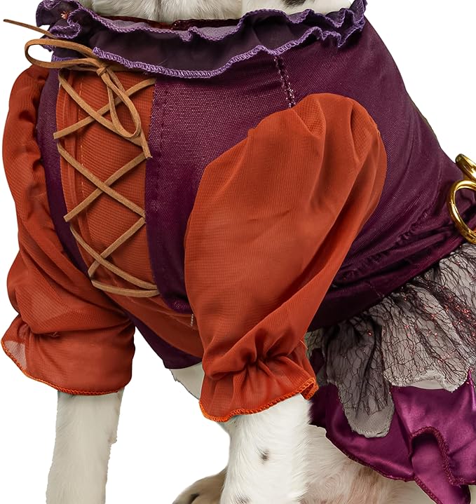 Rubies Disney Hocus Pocus Mary Sanderson Pet Costume and Wig