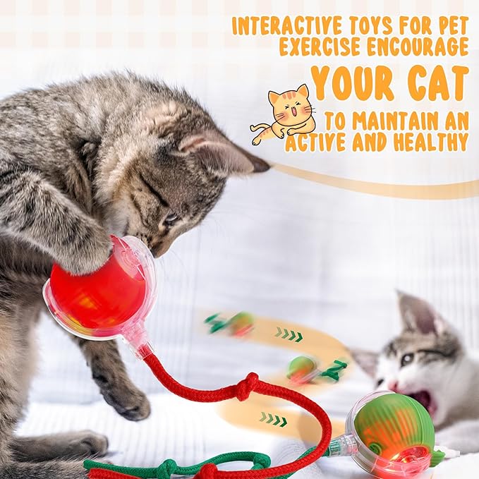 WinnerWhy 6 Pack Interactive Cat Ball Toy 360° Automatic New Interactive Rolling Ball Rechargeable Gifts for Cat Dog Lovers Indoor Exercise Electric Self Rolling Toy Large and Small Puppy Kitten Bulk