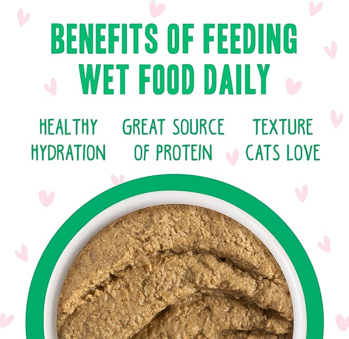 Weruva B.F.F. Play - Best Feline Friend Paté Lovers, Aw Yeah!, Tuna & Turkey Totes! with Tuna & Turkey, 3oz Pouch (Pack of 12)