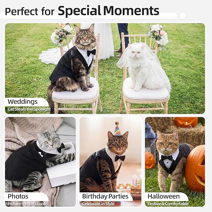 QBLEEV Cat Tuxedo Outfit, Sphynx Cat Costume for Cats Only, Formal Kitten Clothes Attire Suit with Bow Tie, Stylish Birthday Wedding Party Photo Shoots Costume for Male Female Cats, XXL, Black