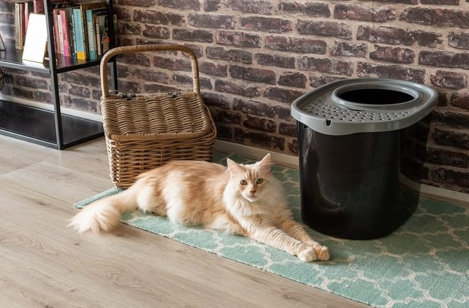 Iris Ohyama Cat Litter Box with Scoop, Up to 7kg, Black/Gray, Top Entry, Cat Litter Tray, Enclosed, for Kitten, High Sided, Hooded, Large, Jumbo, BPA Free, Deep, Easy to Clean, TECL-20