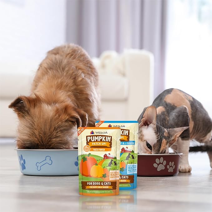 Weruva Pumpkin Patch Up! Pumpkin Pumpkin, What's Your Function Variety Pack for Dogs & Cats, 1.05oz Pouch (Pack of 12)