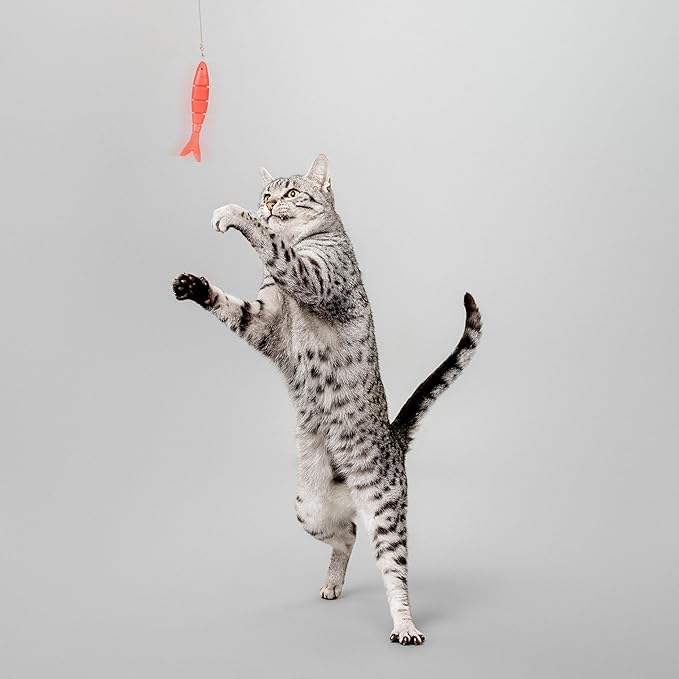 Playology Cat Toys | Interactive Toy Teaser Fish & Snake Cat Toys for Indoor Cats | Toy Made from Non Toxic Materials