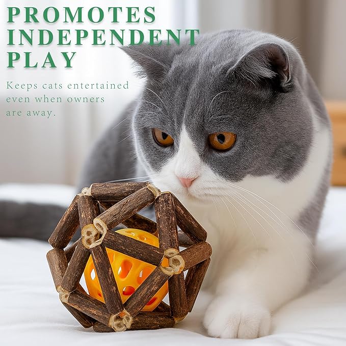 3-Piece Natural Catnip Chew Toy Set for Indoor Cats and Kittens, Teeth Cleaning Toy