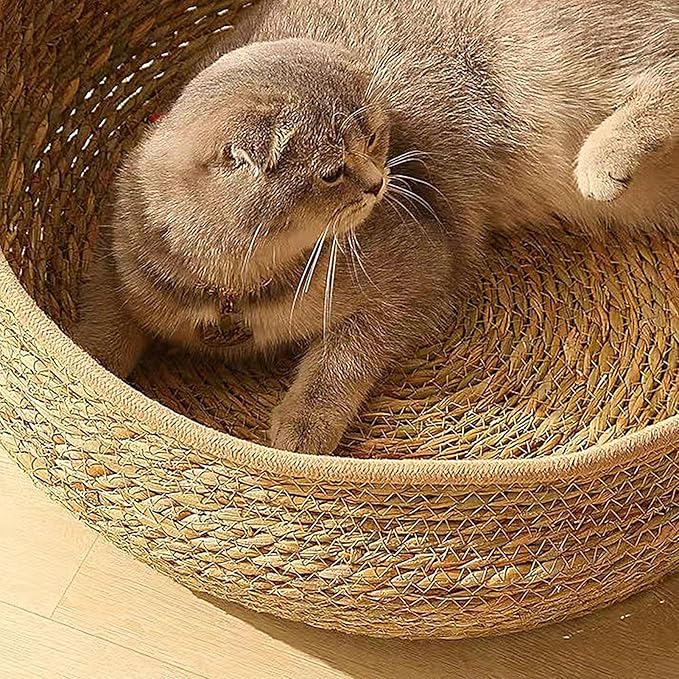Cat Bed Woven Nest with Soft Cushion Pillow, All Season Pet Sleeping Basket for Kitten Puppy Dog, Round Cat House Resting Scratching Furniture Indoor