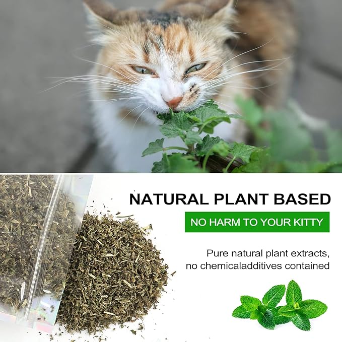 Organic Catmint, Natural Dried Catnip with Leaves & Flowers, Use for Refillable Catnip Toys for Cats, Delicately Dried and Sealed and Packaged for Easy Preservation