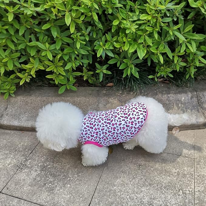 Pet Clothes, Leopard Print T-Shirt Puppy Cat Cotton Vest Clothing Apparel Spring Summer Breathable Sleeveless Costumes for Small Dogs(Rose Red,L)