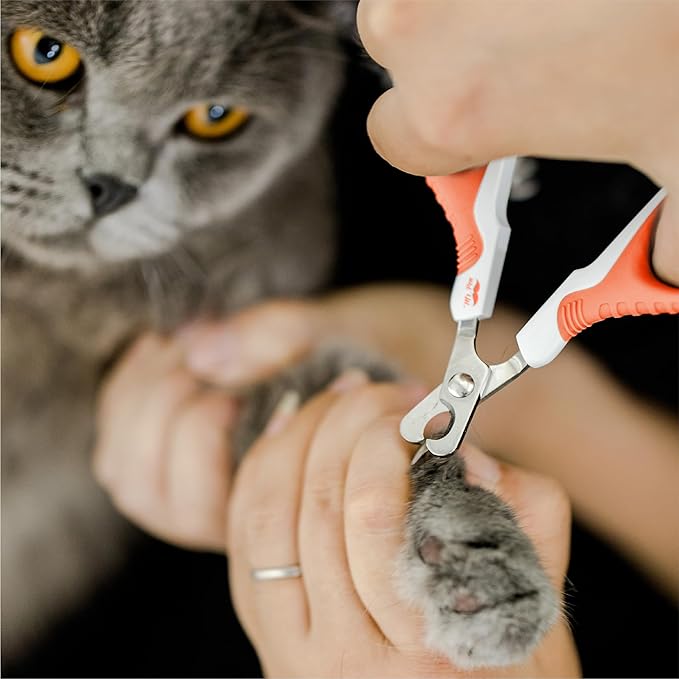 Mr. Pen- Cat Nail Clipper, Stainless Steel, Professional Sharp Cat Claw Trimmer for Small and Medium Cats, Pet Nail Clipper with Sturdy Non Slip Handle