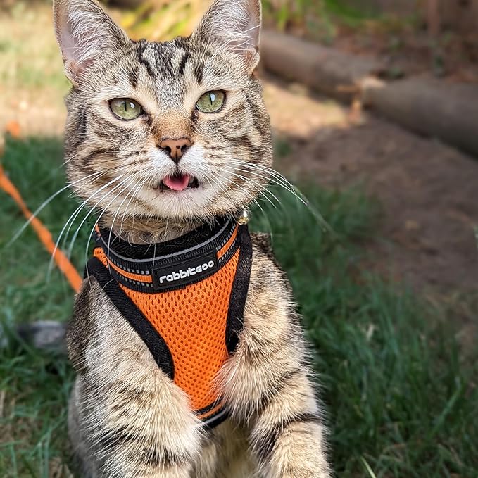 rabbitgoo Cat Harness and Leash Set for Walking Escape Proof, Adjustable Soft Kittens Vest with Reflective Strip for Cats, Comfortable Outdoor Vest,Light Orange,S