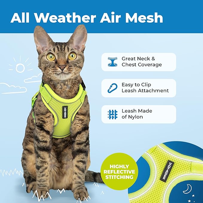 Voyager Escape-Proof Step-in Lock Cat Harness & 5ft Neoprene-Handle Leash Set All-Weather Mesh with Reflective Stitching for Small to Large Cats by Best Pet Supplies, Lime (327), XXXS