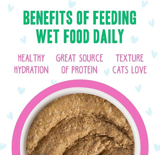 Weruva B.F.F. Play - Best Feline Friend Paté Lovers, Aw Yeah!, Duck & Tuna Tap Dance with Duck & Tuna, 3oz Pouch (Pack of 12)
