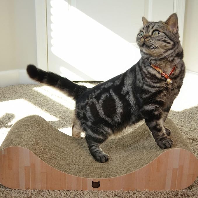 Necoichi Cardboard Cat Scratcher Bed for Indoor Cats - Cat Scratching Board, Horizontal Cat Scratch Pad Lounger with Reversible Usability and Extra Comfort for Lounge, Curved (23" Large, Oak)