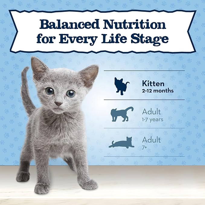 Blue Buffalo Baby BLUE Natural Grain-Free Wet Food for Kittens, Healthy Growth Formula with DHA, High-Protein Salmon Pate, 3 Ounce (Pack of 24)