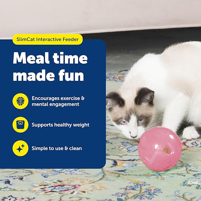 PetSafe Slimcat Feeder Ball - Interactive Game for Your Cat - Fill with Food and Treats - Pink