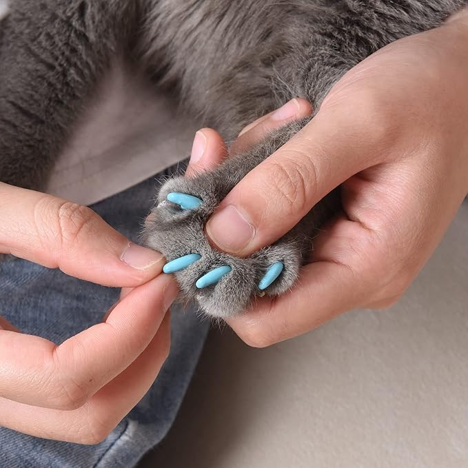 Kitty Caps Nail Caps for Cats, Black with Gray Tips and Baby Blue - Safe, Stylish and Humane Alternative to Declawing, Stops Scratches and Snags, Large 13 lbs or More, 40 Count - 3 Pack