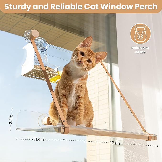 Acrylic Transparent Cat Window Set- Modern Style with Wood & Leather Straps | for Large Indoor Cats & Kittens| Washable & Easy-Cleaning Cat Bed & Hammock | Cat Funiture, Accessories & Gifts
