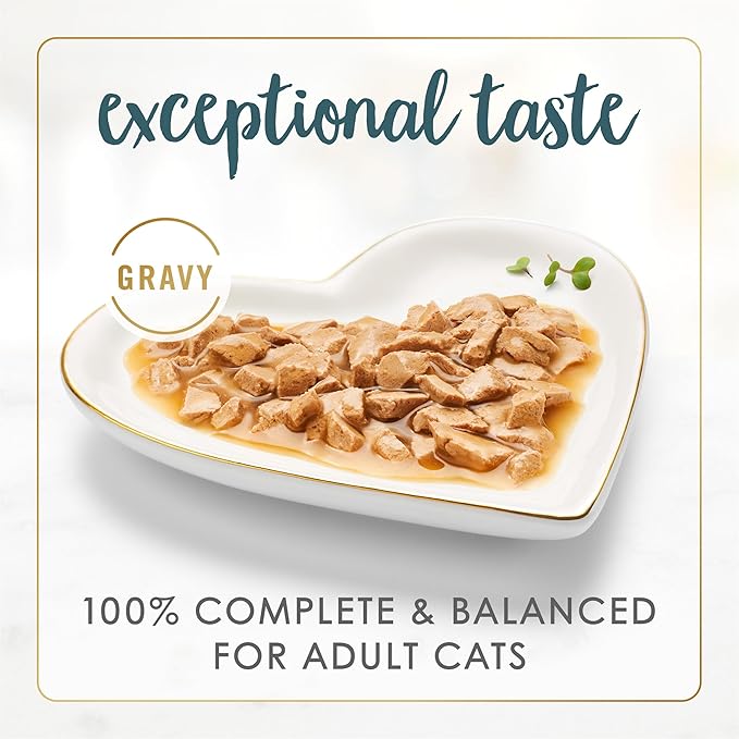 Fancy Feast Purina Gravy Lovers Turkey Feast Grilled Gourmet Cat Food in Wet Cat Food Gravy - 3 oz. Cans,(Pack of 48)