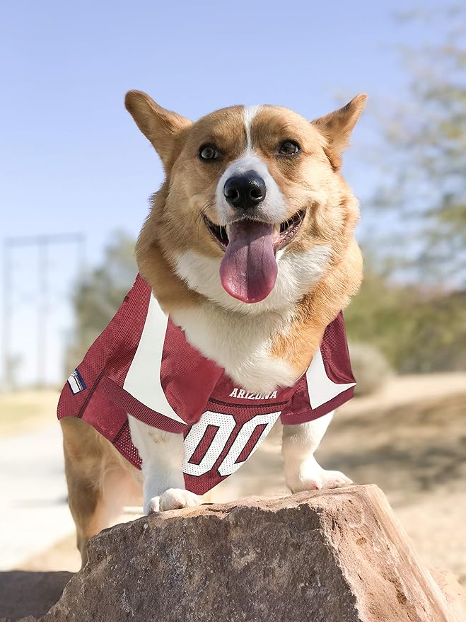 NFL Arizona Cardinals Dog Jersey - X-Small, Football Jersey Costume for Dogs & Cats