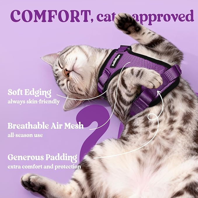 rabbitgoo Cat Harness and Leash for Walking, Escape Proof Soft Adjustable Vest Harnesses for Cats, Easy Control Breathable Reflective Strips Jacket, Purple, XXS