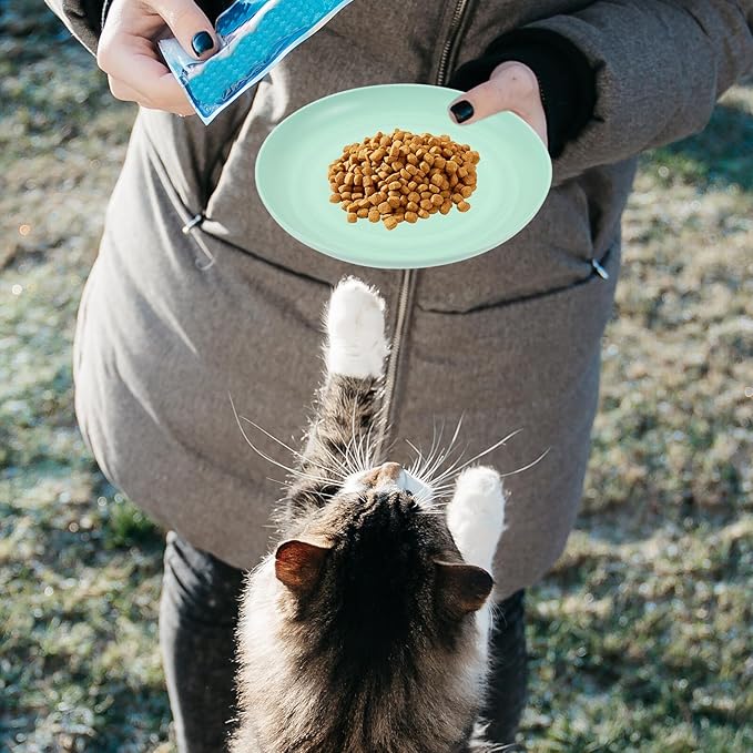 4pcs Round Flat Bottom Cat Food Bowls Set, Plastic, 15cm Diameter, Multi-Color, Suitable for Indoor Cats and Kittens Feeding and Watering