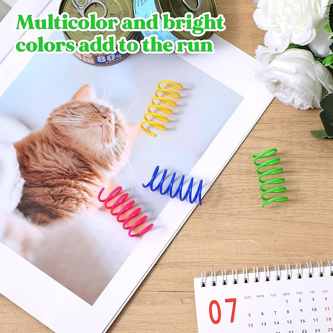 400 PCS Cat Spring Toys, Colorful Interactive Cat Toy Plastic Coil Springs Cats Toy for Indoor Cats, Kittens Toys Plastic Coil for Swatting, Biting, Hunting