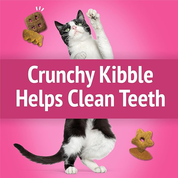 Purina Friskies Party Mix California Crunch with Chicken and Flavors of Turkey and Bacon Cat Treats - 20 oz Canister