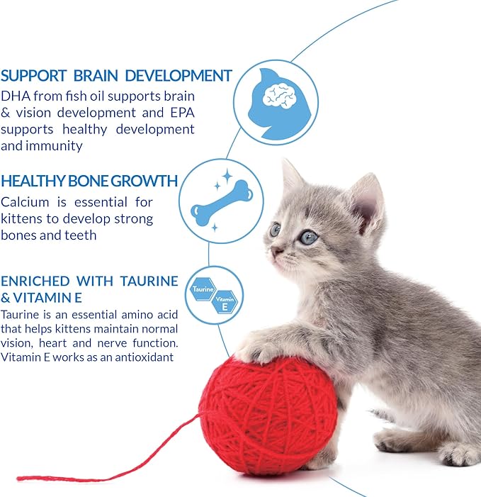 INABA Churu for Kittens, Creamy, Purée Lickable Cat Treats with DHA, EPA, Vitamin E & Taurine, 0.5 Ounces Each, 24 Tubes (4 per Pack), Tuna Recipe