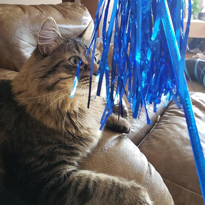 ADUCK 5 Pack Cat Wand Toy for Indoor Cats, 22-Inch Interactive Tassel Teaser Kitten Toy for Exercise and Play, Durable PE Wand Chaser Without Loose Parts (Gold, Pink, Blue, Silver, Green)