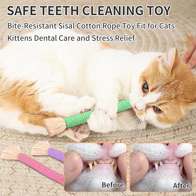 Retro Shaw Cat Toys Chew Ropes with Catnip, 6 Pack, Safe Teeth Cleaning Kitten Toys for Indoor Cats Kitty, Cat Nip Kicker Interactive Pet Toys 6.1 Inches
