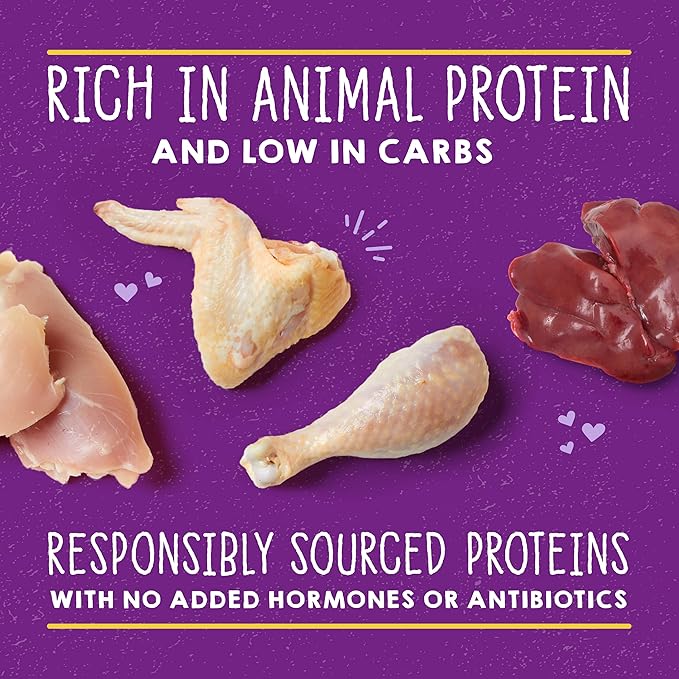 Stella & Chewy's Carnivore Cravings Savory Shreds - Wet Cat Food - High-Moisture Formula with Premium Cage-Free Chicken & Chicken Liver - Perfect for Picky Eaters - 2.8 oz, 24 Count