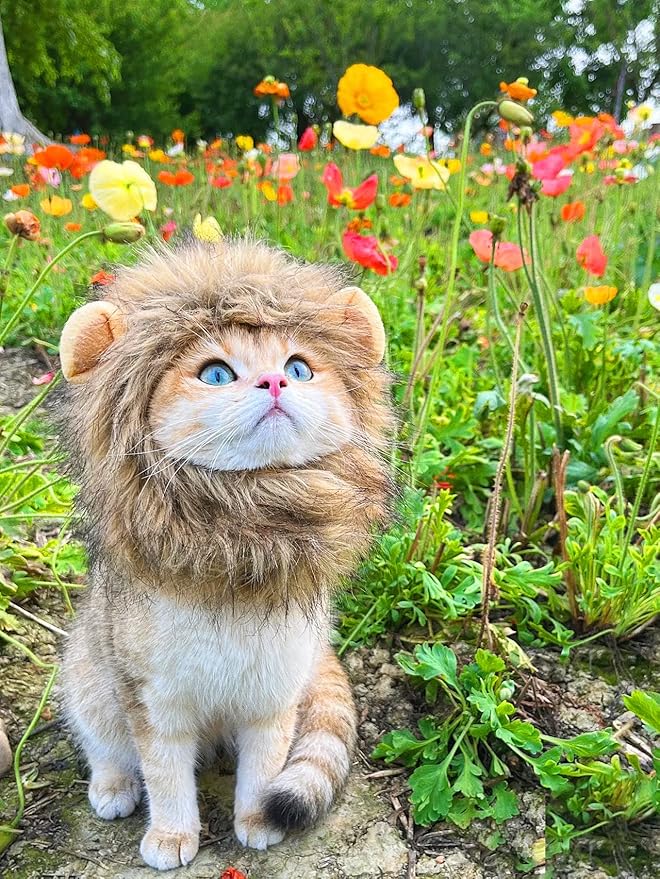 Lion Mane Wig for Cat,Dog and Cat Costume,Funny Pet Cat Costumes for Halloween Christmas, Parties, Photo Shoots (Size M, Melange Brown)