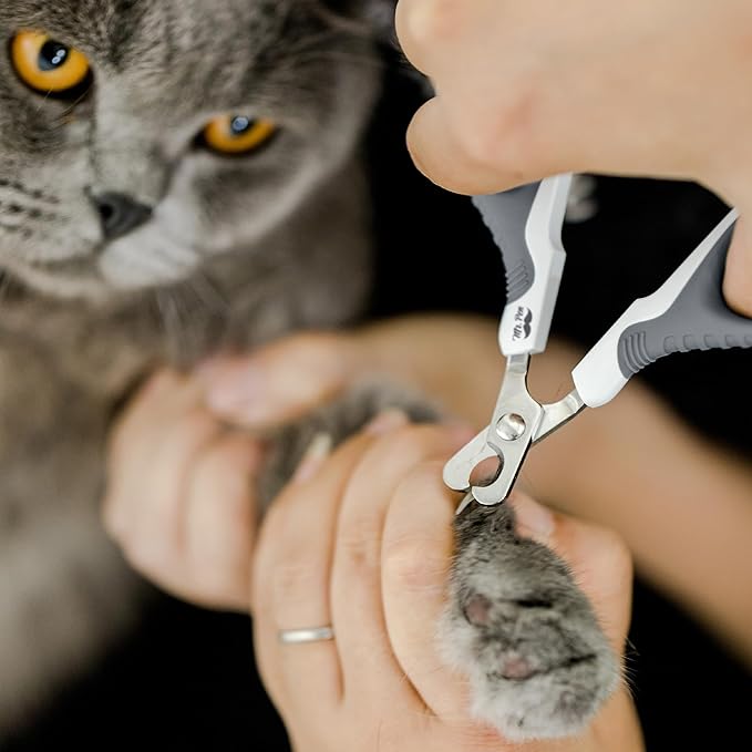 Mr. Pen- Cat Nail Clipper, Stainless Steel, Professional Sharp Cat Claw Trimmer for Small and Medium Cats, Pet Nail Clipper with Sturdy Non Slip Handle