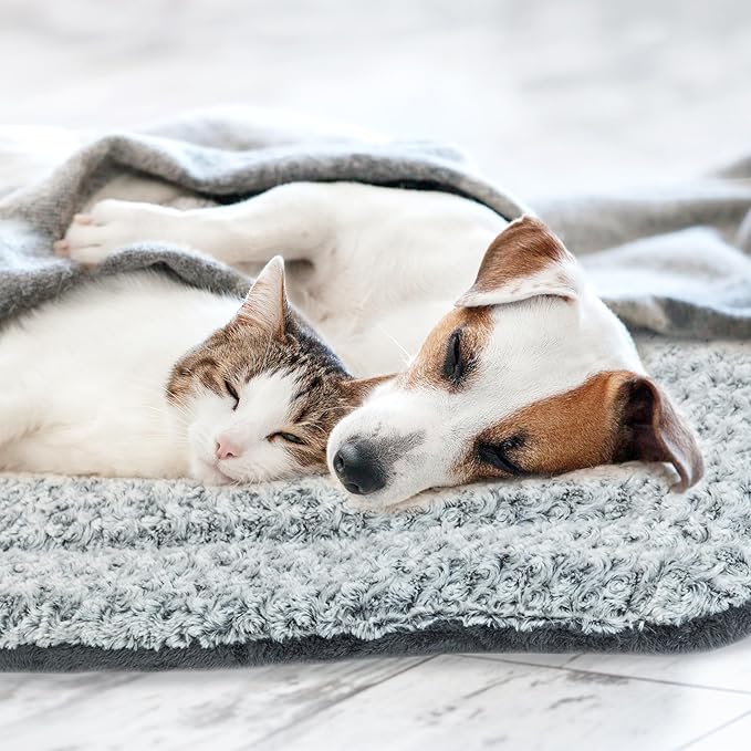 Self Warming Cat Bed for Indoor Cats & Small Dogs, Cozy Thick Mat, Self Heating Pad for Cold Weather, Washable Fluffy Calming Cushion for Sleeping, Relaxing, Playing
