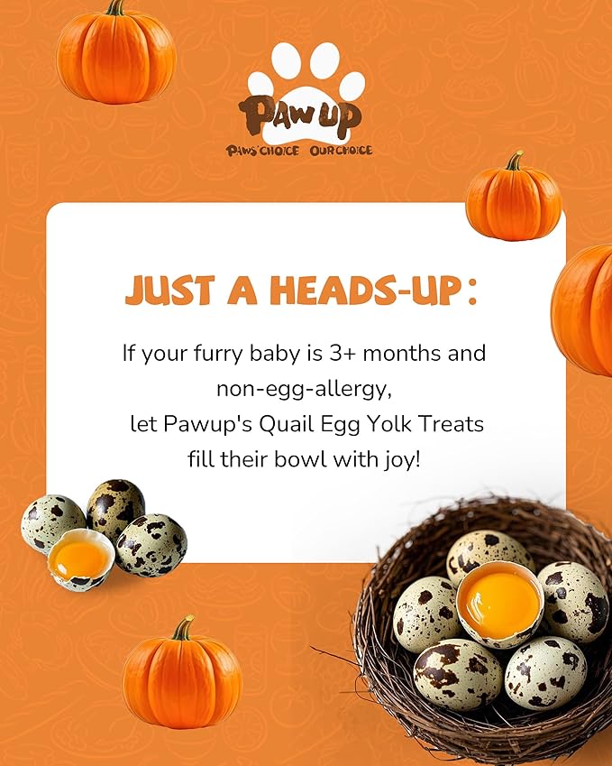 PAWUP Freeze Dried Cat & Dog Treats, Natural Quail Egg Yolk, High Fiber Pumpkin Added, High-Protein Pet Snacks for Coat & Gut Health, 3.5 oz