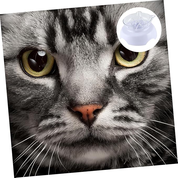 Elevated 15° Tilted Plastic Cat Food Bowl with Neck Protection High Base Pet Feeder for Cats Feeding and Watering