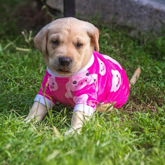 CuteBone Dog Halloween Pajamas Puppy Onesies Small Dogs Soft Pjs Coat Cat Apparel Comfy Pet Christmas Clothes Outfit Doggie Bodysuit P46XS