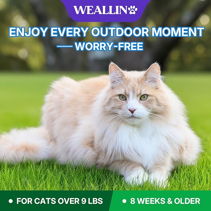 WEALLIN Flea and Tick Prevention for Large Cat, Fleas and Ticks Treatment for Cats Over 9 lbs, Topical Cat Flea Treatment, Fast-Acting & Long-Lasting Fleas Control for Cats, 6-Dose Supply