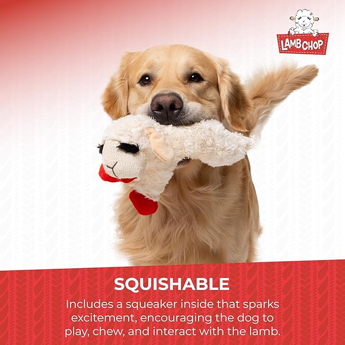 Multipet Lamb Chop Dog Plush Toy - Squeaky Toy for Small & Medium Dogs - Extra Soft Plush - Stuffed Animal for Cuddling & Playing 10" Cream, 5 Squeakers (Pack of 3)