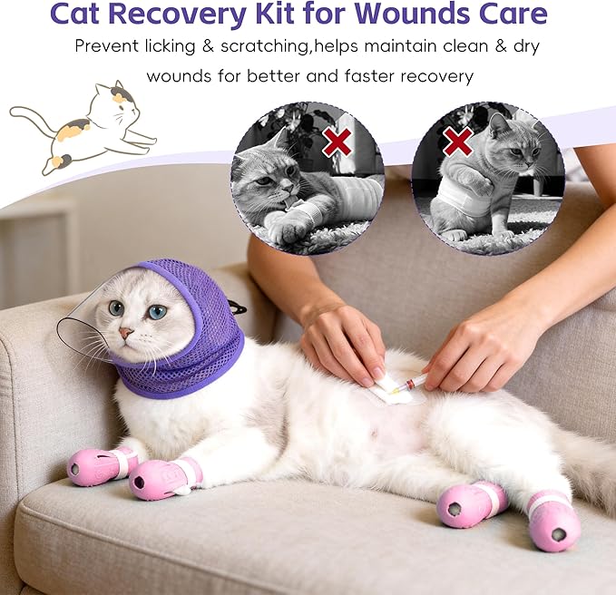 Adjustable Cat Muzzle for Grooming & Biting Prevention, Upgrade Kitten Head Cover,Breathable Anti-Bite Cat Mask with 4 Anti-Scratch Gloves Boots Silicone Shoes for Nail Trim Bath Vet Visit (Purple, M)
