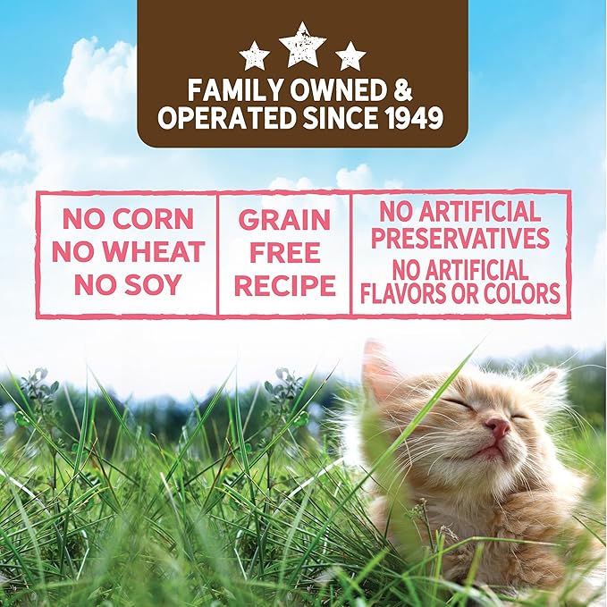Evolve Grain Free Salmon & Sweet Potato Stew in Gravy Wet Cat Food | 3 oz - 24 pk