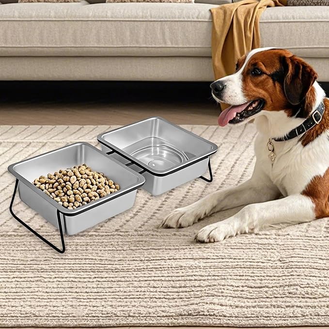 Elevated Pet Bowl Watering and Feeding with Stand Large Ergonomic Tilted Pet Snack Container Anti Vomiting for Small Dogs, Double
