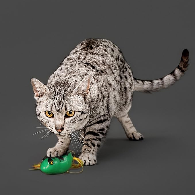 Playology Cat Toys | Catnip Toy Dangly Leg Frog for Chewing Chasing and Pouncing | Interactive Cat Toys for Indoor Cats