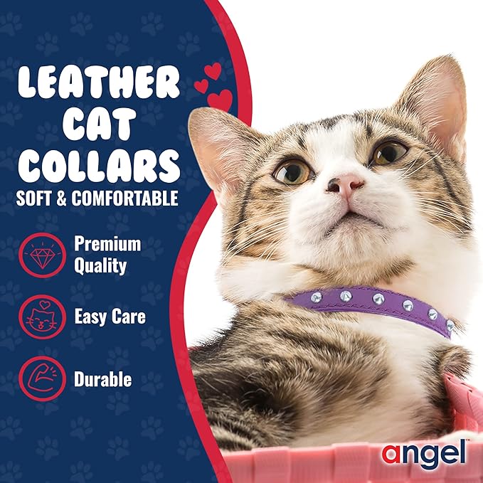 Studded Cat Collar, Genuine Leather Kitten Collar, Sturdy Breakaway Cat Collar with Bell and Elastic Stretch,Cat Accessories, Orchid Purple, 12 x 1/2 inches - Angel Pet Supplies