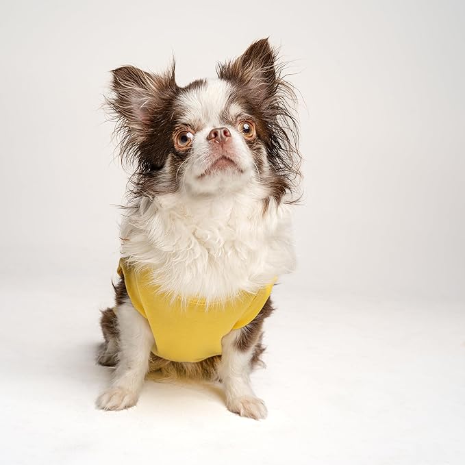 Blank Dog Tee Shirt | Sleeveless Breeds | Lightweight, Comfy, Customizable |Yellow, 4X-Large