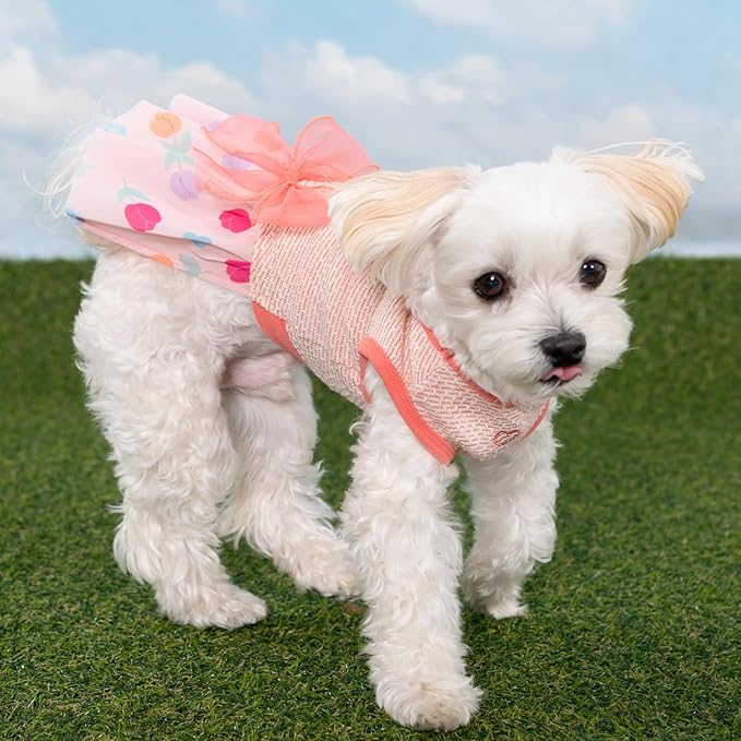 Pinkaholic New York Alice Dog One-Piece Dress Trendy Fashionable Cute Elegant Dog Apparel for Small Dogs, Red, Small