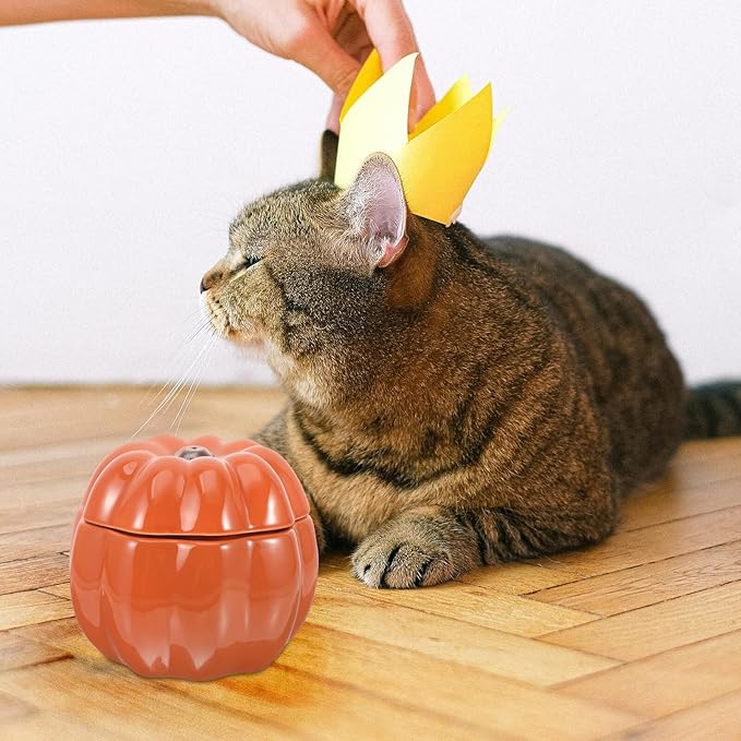 Toddmomy Ceramic Pumpkin-Shaped Raised Pet Food Bowl Set, Elevated Orange Cat and Small Dog Feeding and Watering Bowls with Neck Protection for Puppies and Cats