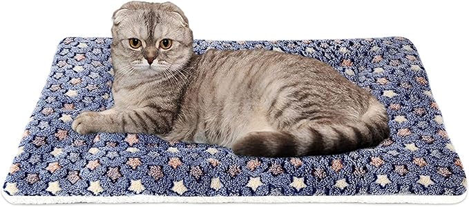 FJWYSANGU Pet Blanket Premium Fluffy Flannel Cushion Soft and Warm Mat for Dogs Cats(Star/Blue,Large)