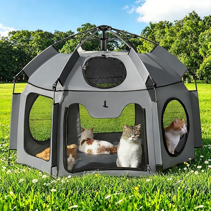 Catio Outdoor Cat Enclosure, Rywell 55” Extra Large Catio Pop Up Indoor Outdoor, Portable Cat Playpen Weatherproof with Removable Sunshade, Easy Setup Pet Enclosure for Cats Dogs