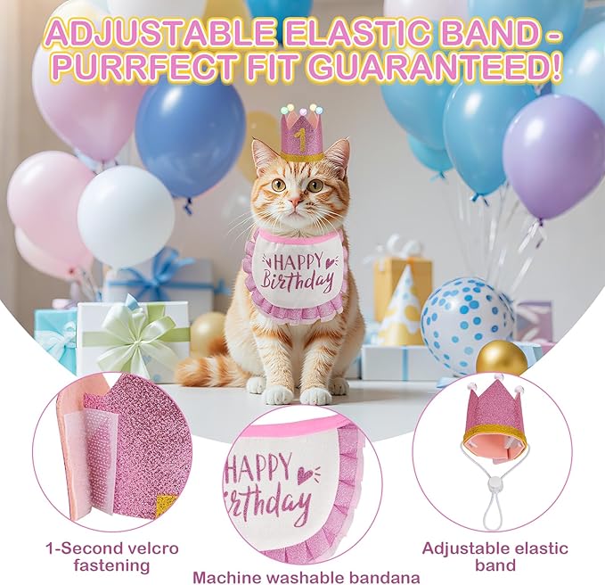 Cat Birthday Hat with Bandana, Light Up Party Outfit, Pink